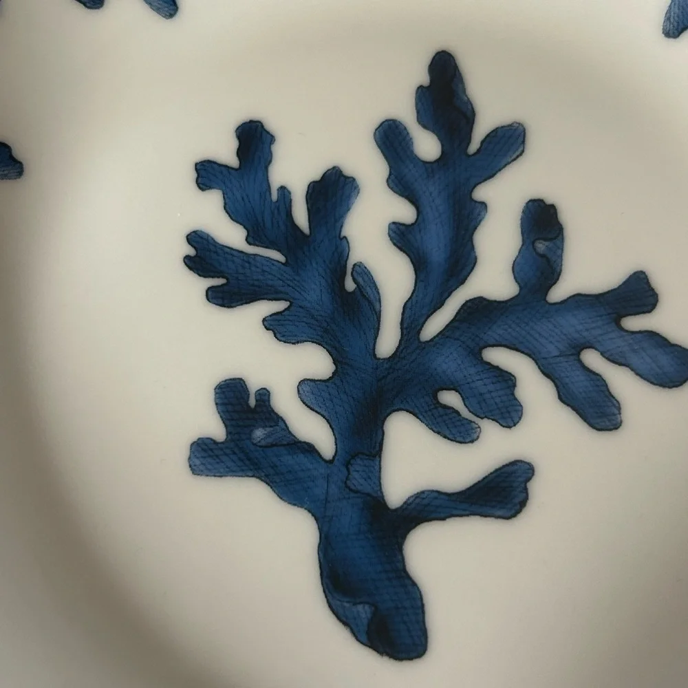 Z Gallerie Blue Coral Porcelain 8” Soup Bowls Set Of 2. Retired HTF.